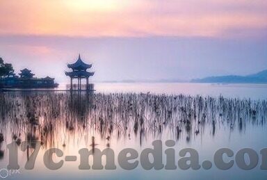 麻豆最新视频-麻豆最新视频，揭示背后的故事与创意之旅